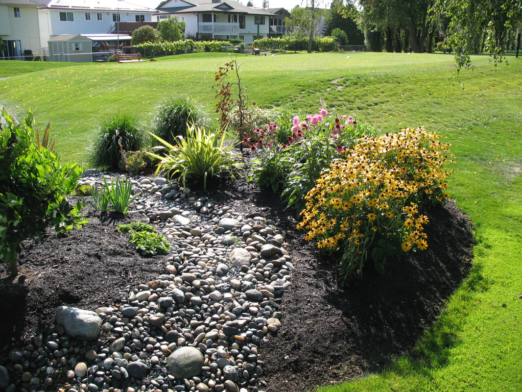 residential drainage and drain repairs victoria bc